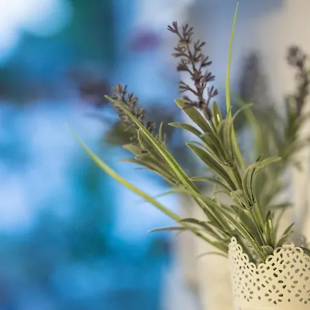 Iris' Garden Retreat