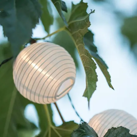 Iris' Garden Retreat Hotell *