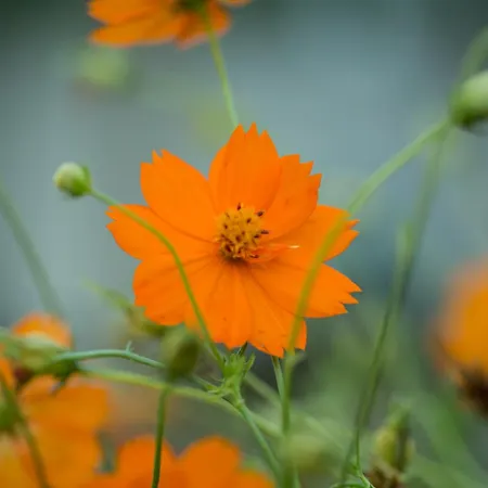 Iris Boutique Hotel Corinthe