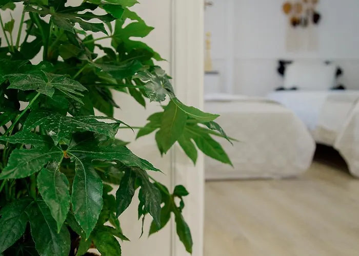 Iris' Garden Retreat Corinth