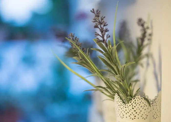 Iris' Garden Retreat