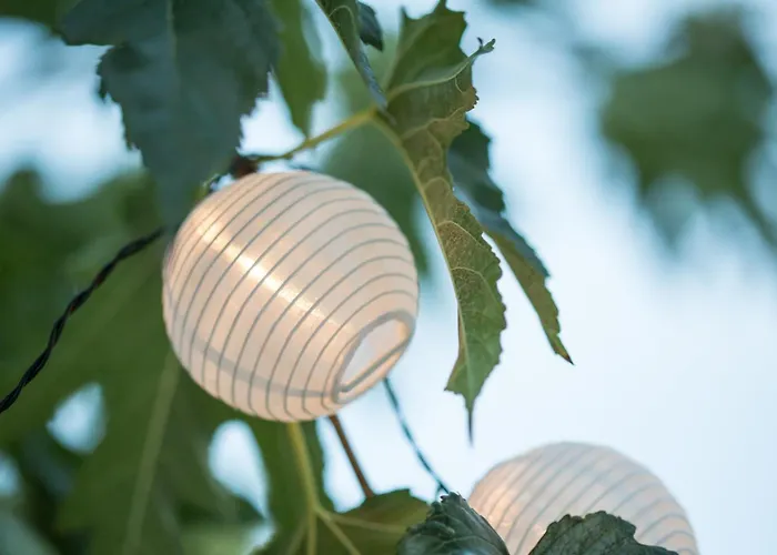 Iris Boutique Hotel *